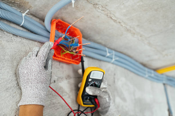 Best Outdoor Lighting Installation  in Newburg, WI